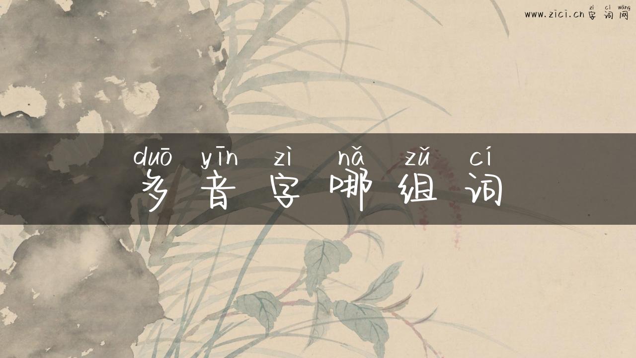 多音字哪组词