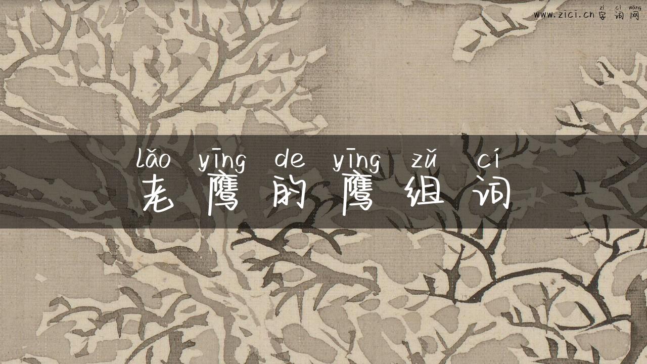 老鹰的鹰组词