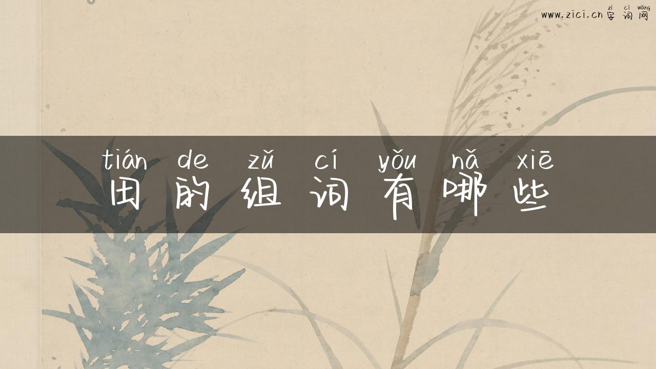 田的组词有哪些