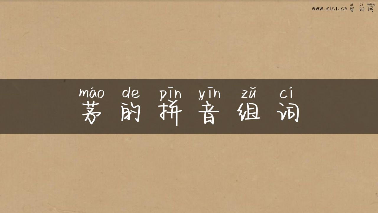 茅的拼音组词