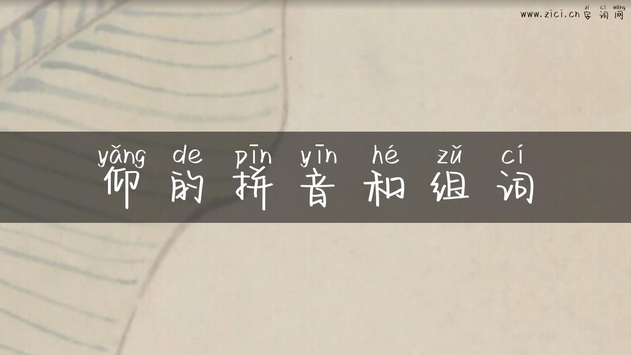 仰的拼音和组词