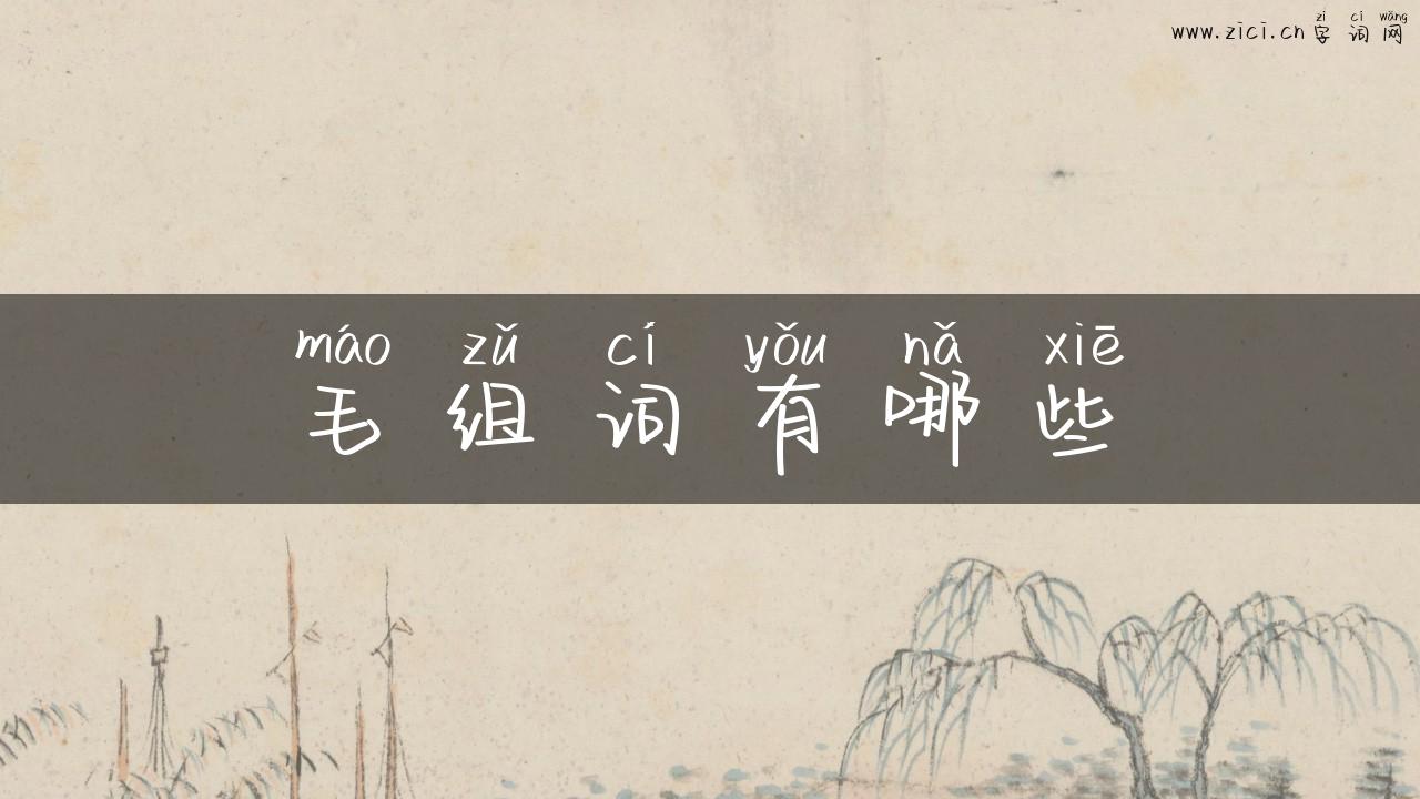 毛组词有哪些