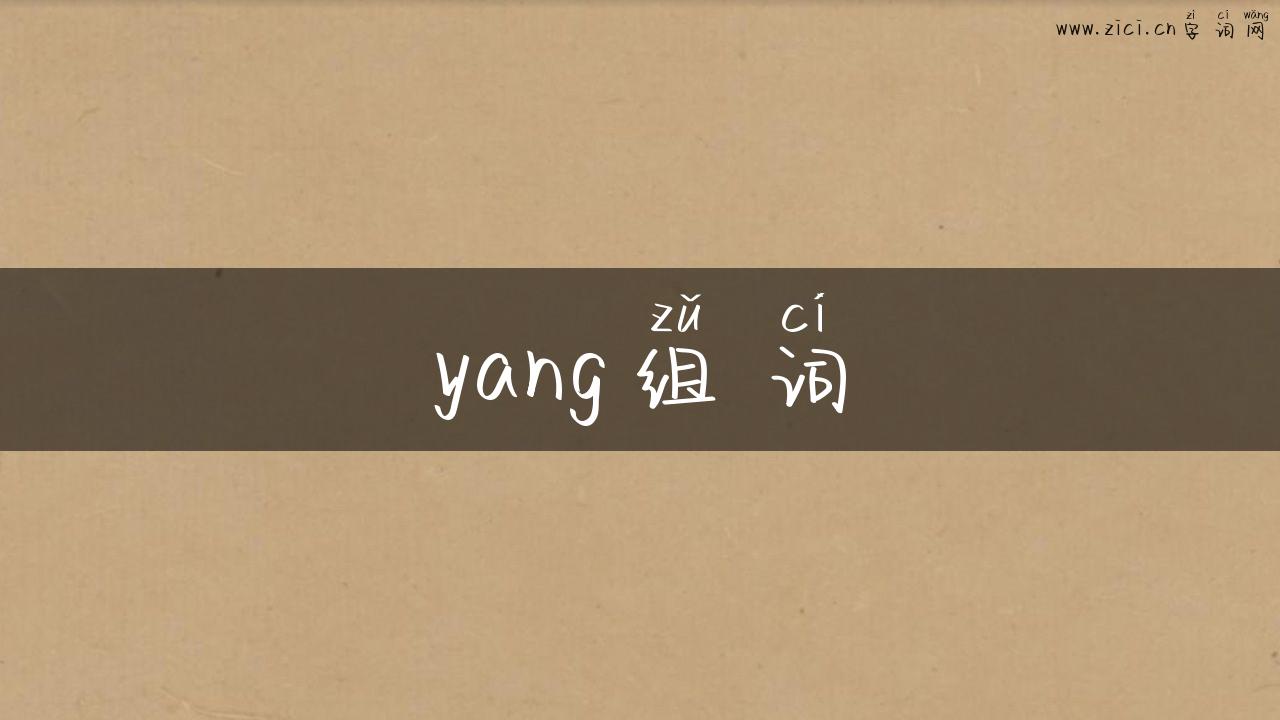 yang组词