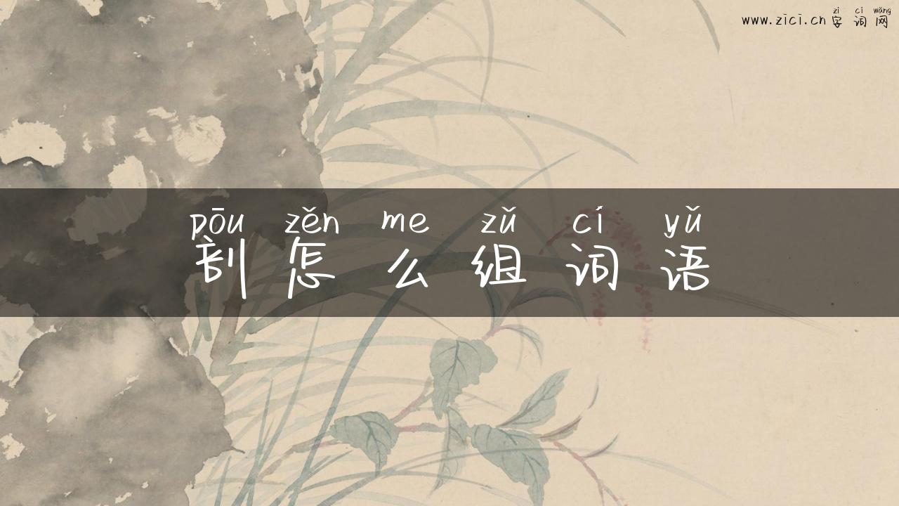 剖怎么组词语