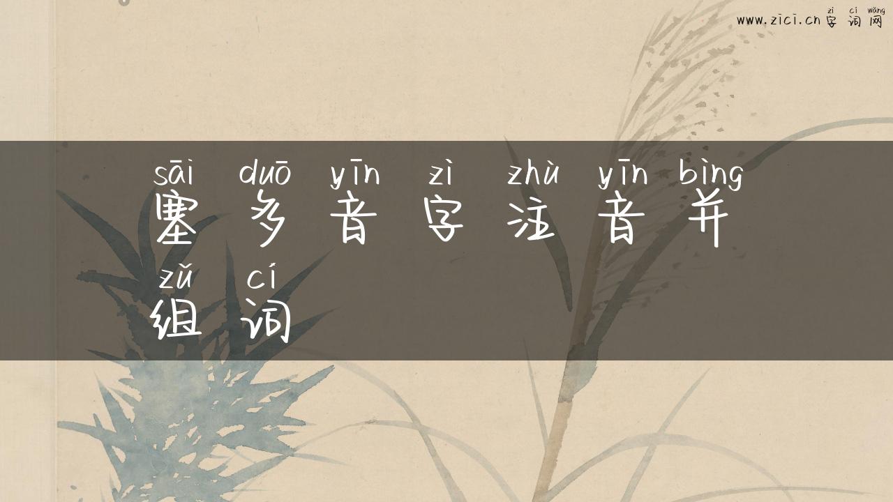 塞多音字注音并组词