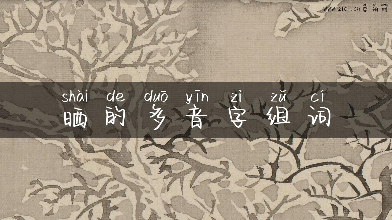 晒的多音字组词