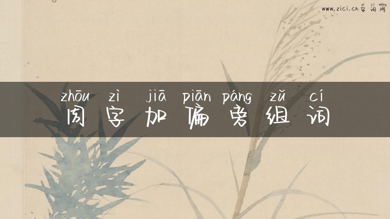 周字加偏旁组词