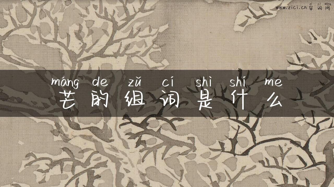 芒的组词是什么