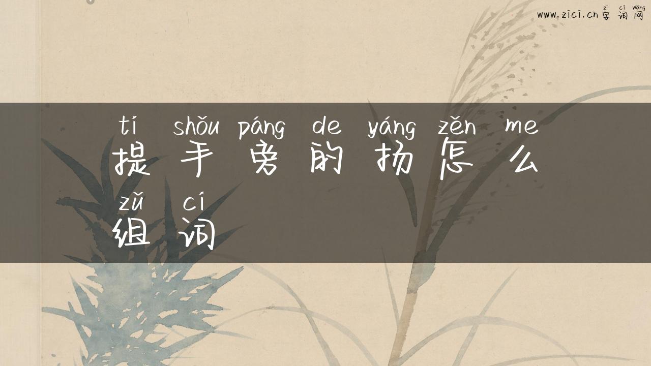 提手旁的扬怎么组词