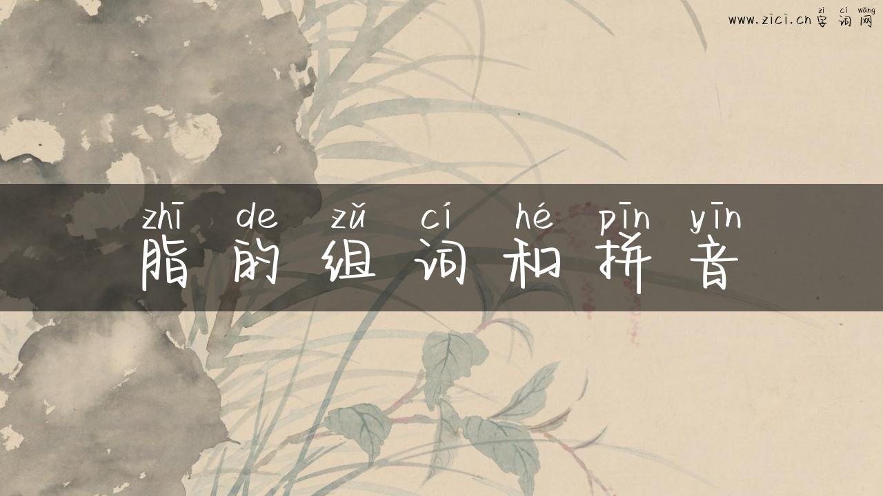 脂的组词和拼音
