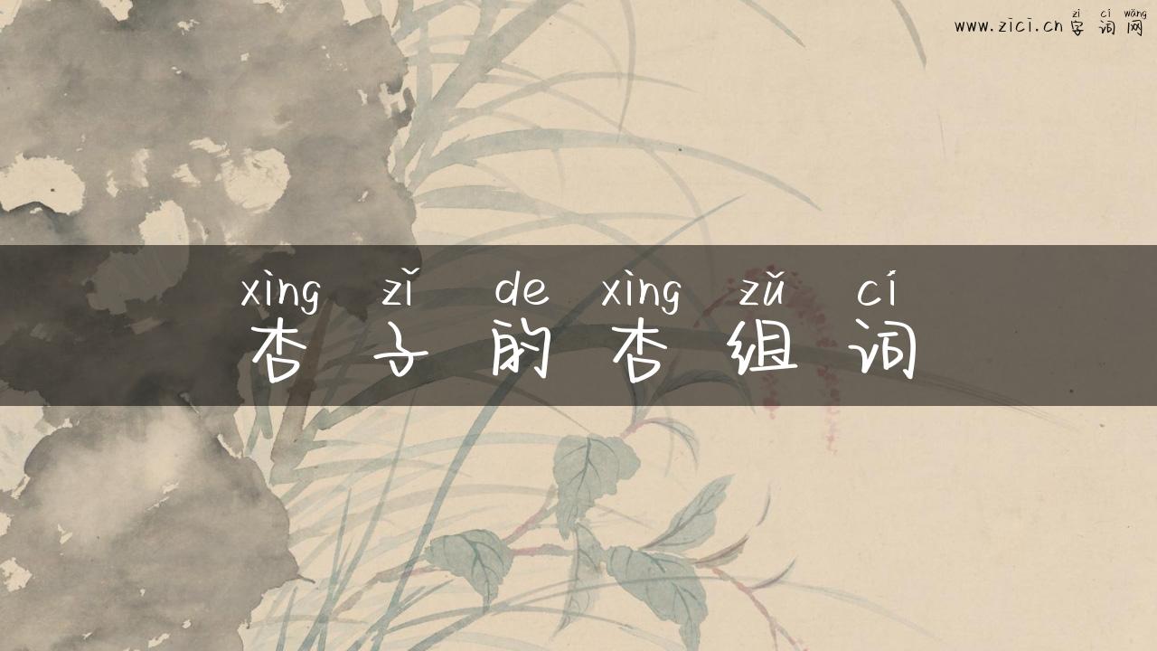 杏子的杏组词