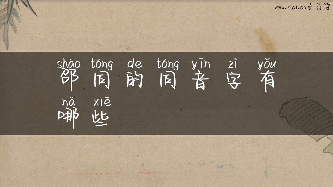邵同的同音字有哪些