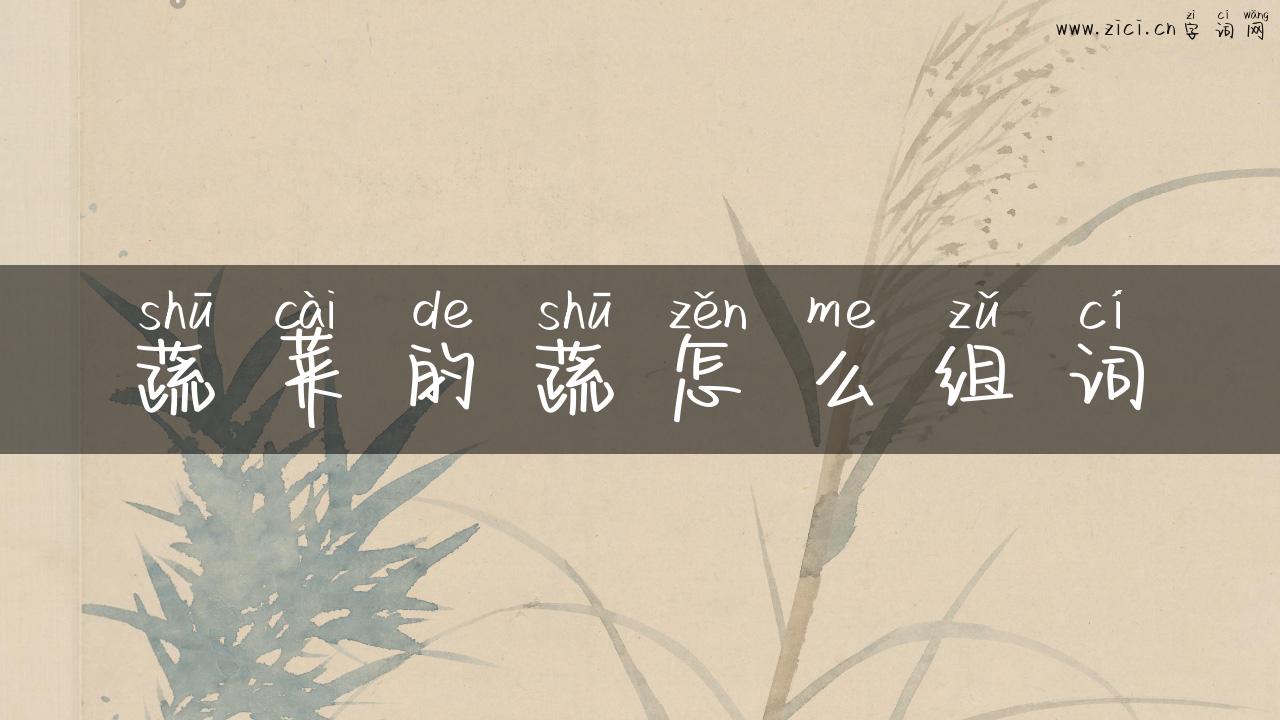 蔬菜的蔬怎么组词