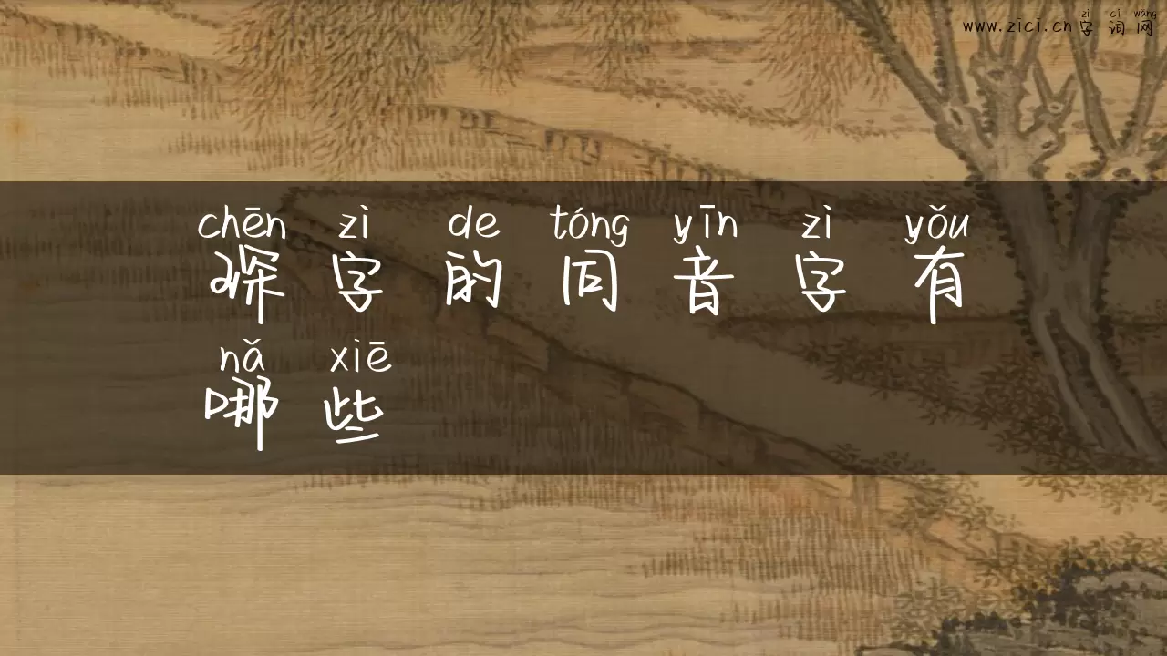 琛字的同音字有哪些