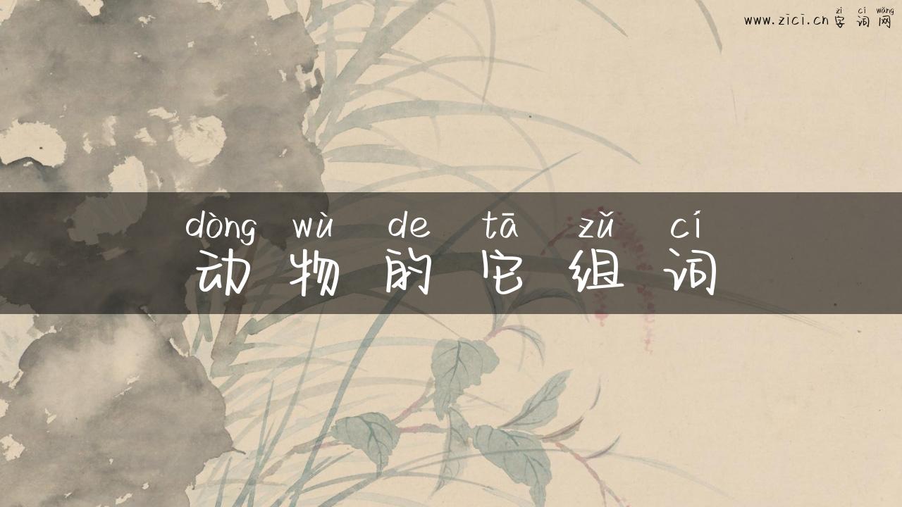 动物的它组词
