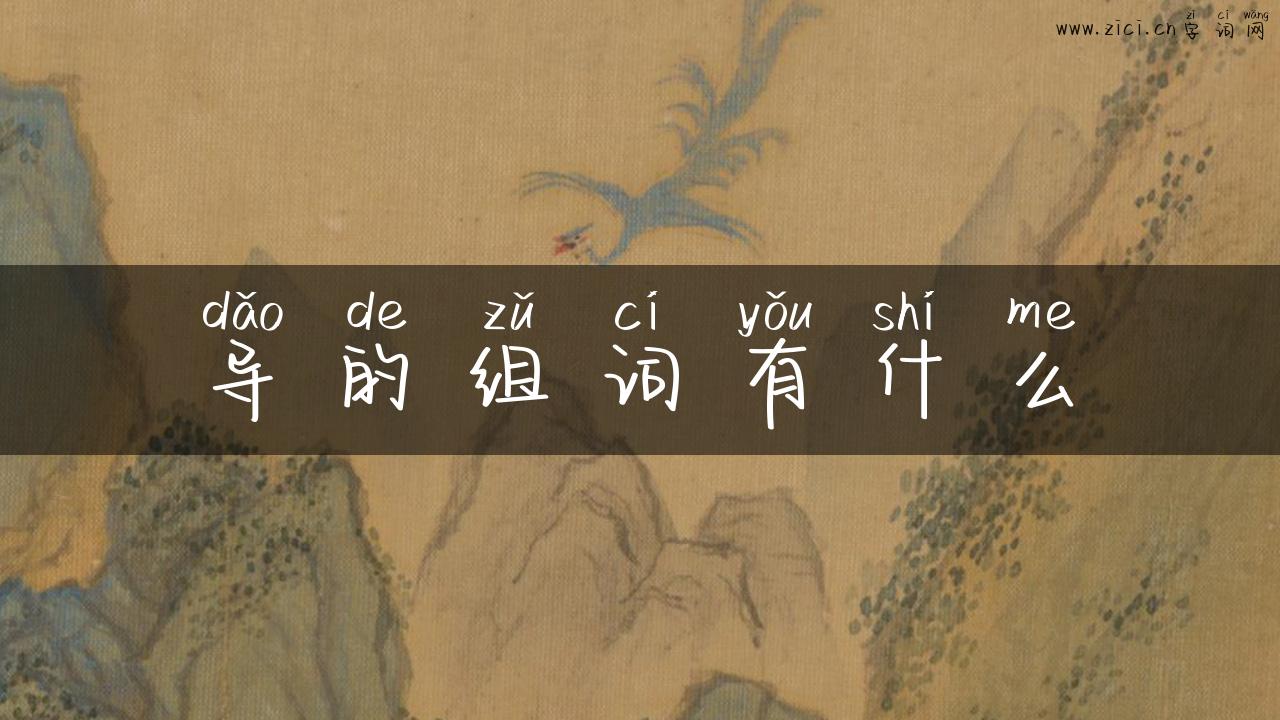 导的组词有什么