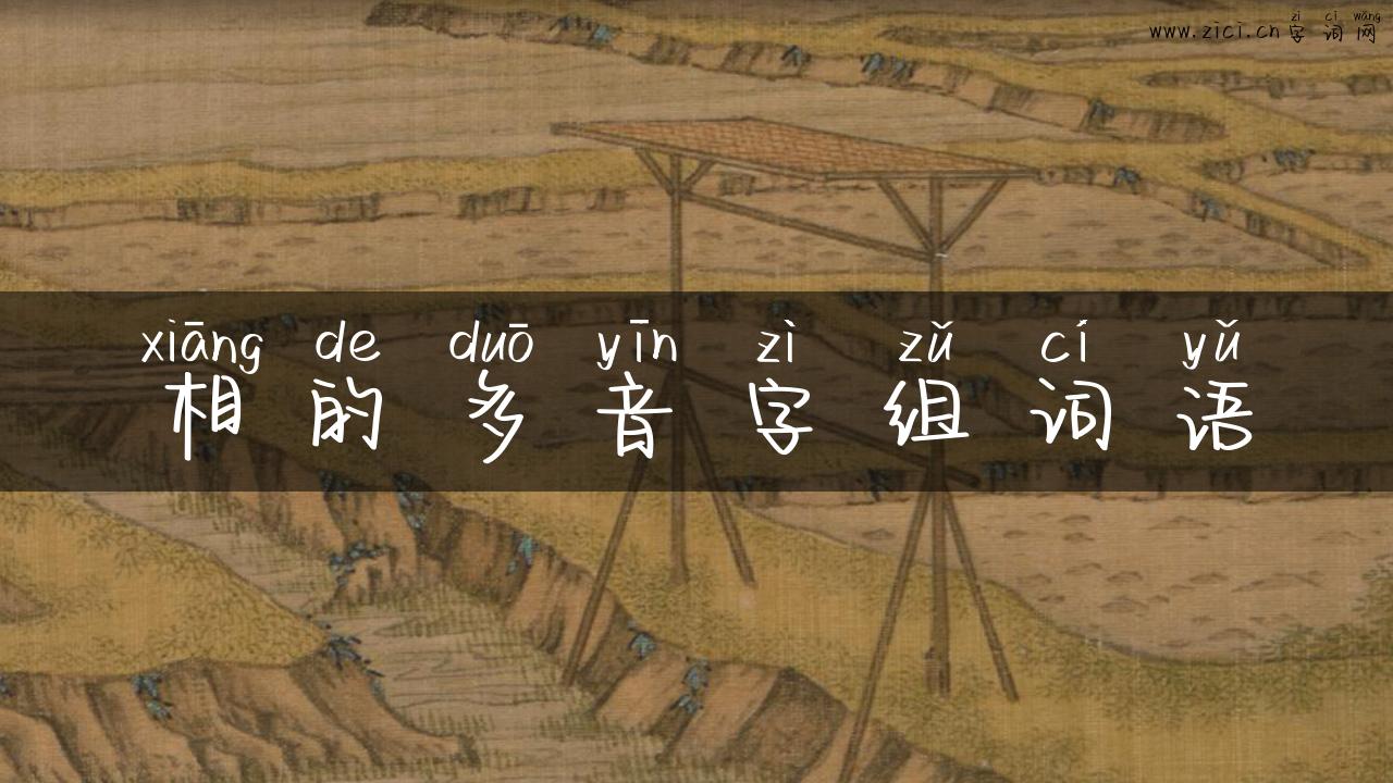 相的多音字组词语
