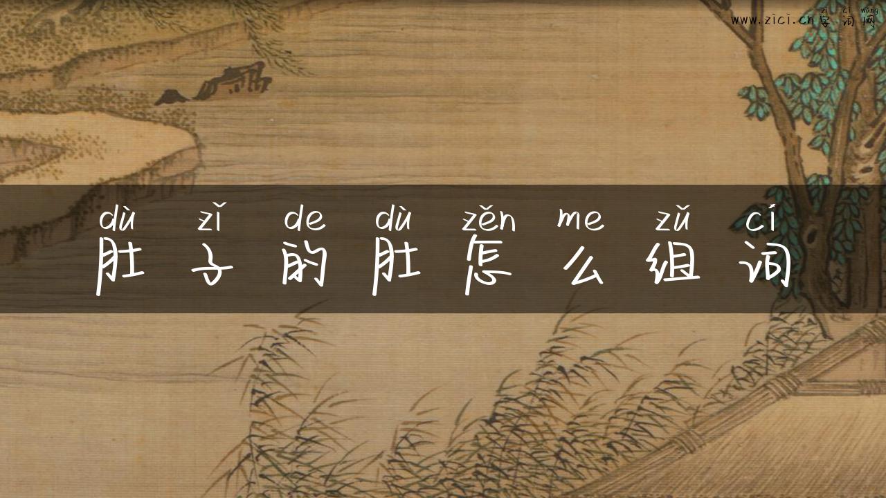 肚子的肚怎么组词