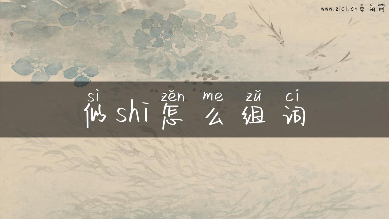 似shi怎么组词