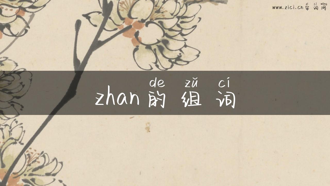 zhan的组词