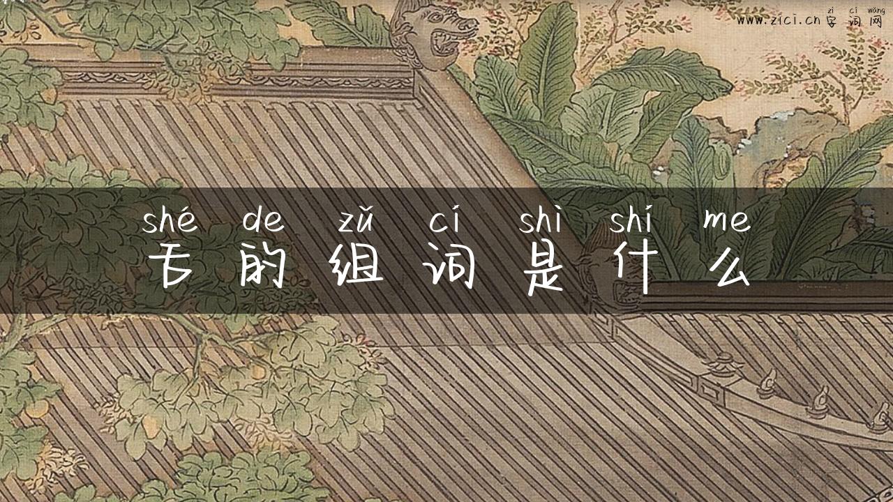 舌的组词是什么