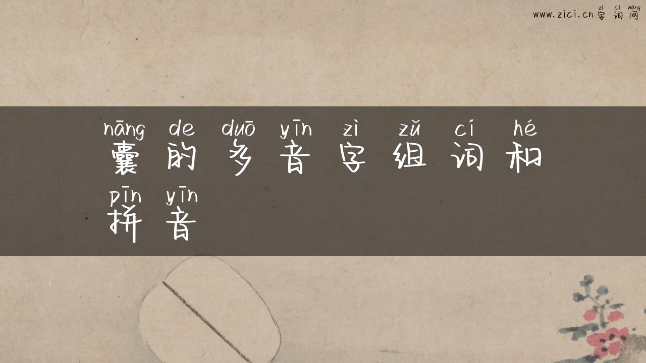 囊的多音字组词和拼音