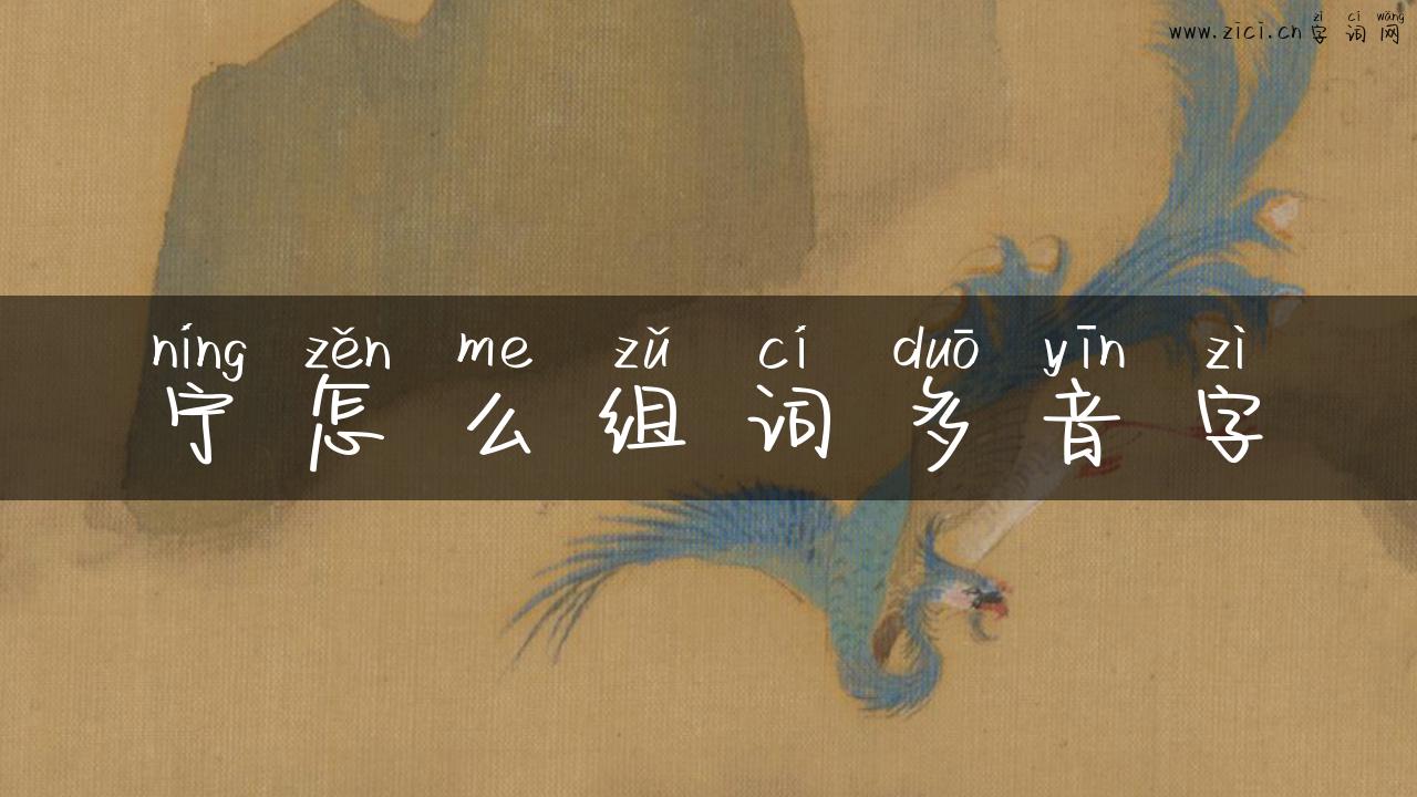 宁怎么组词多音字