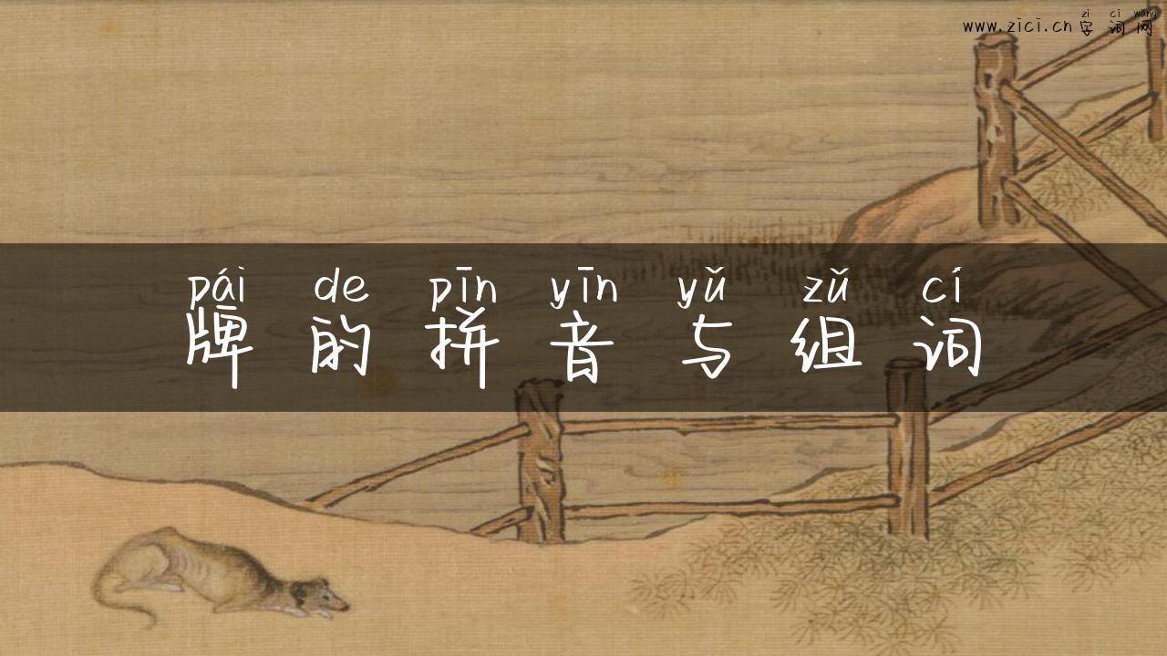 牌的拼音与组词