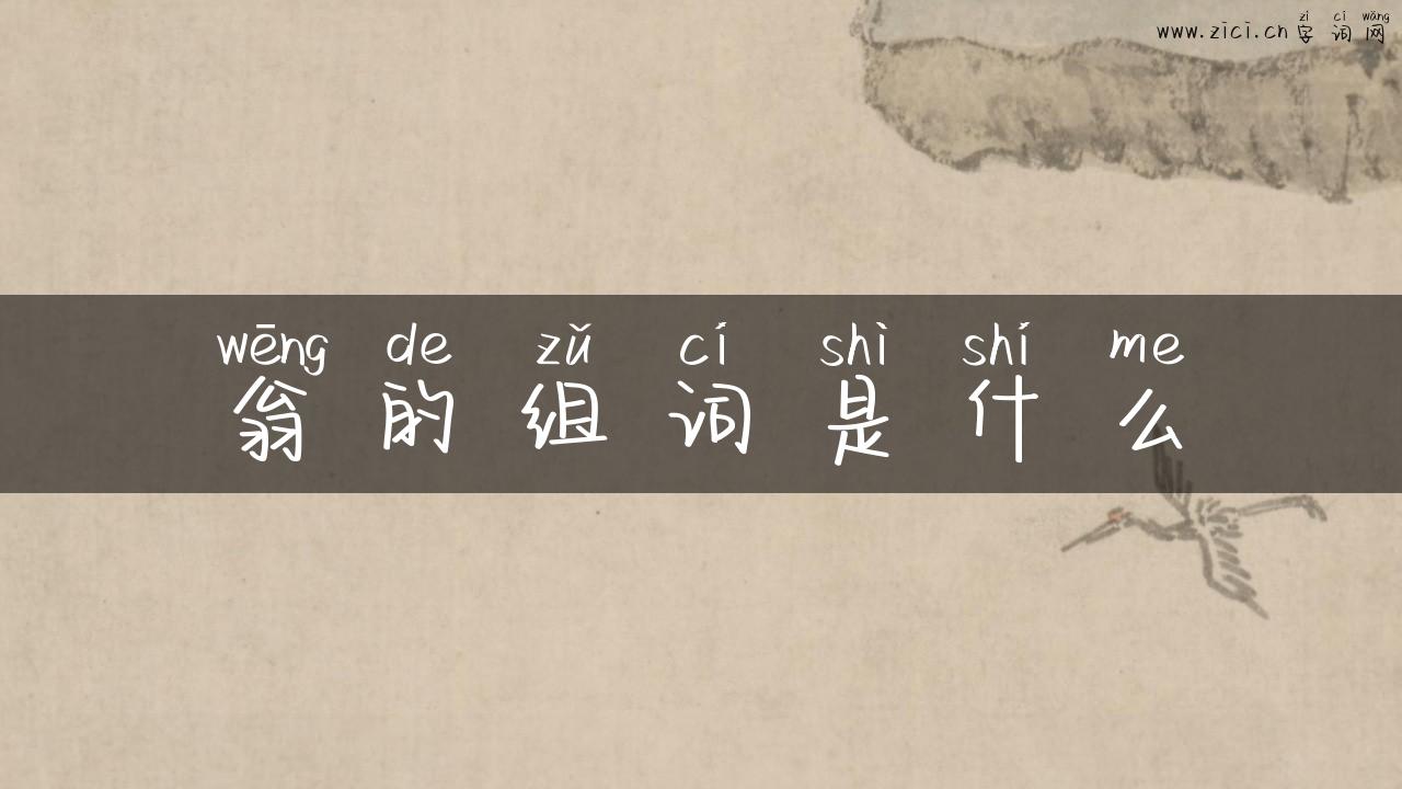 翁的组词是什么