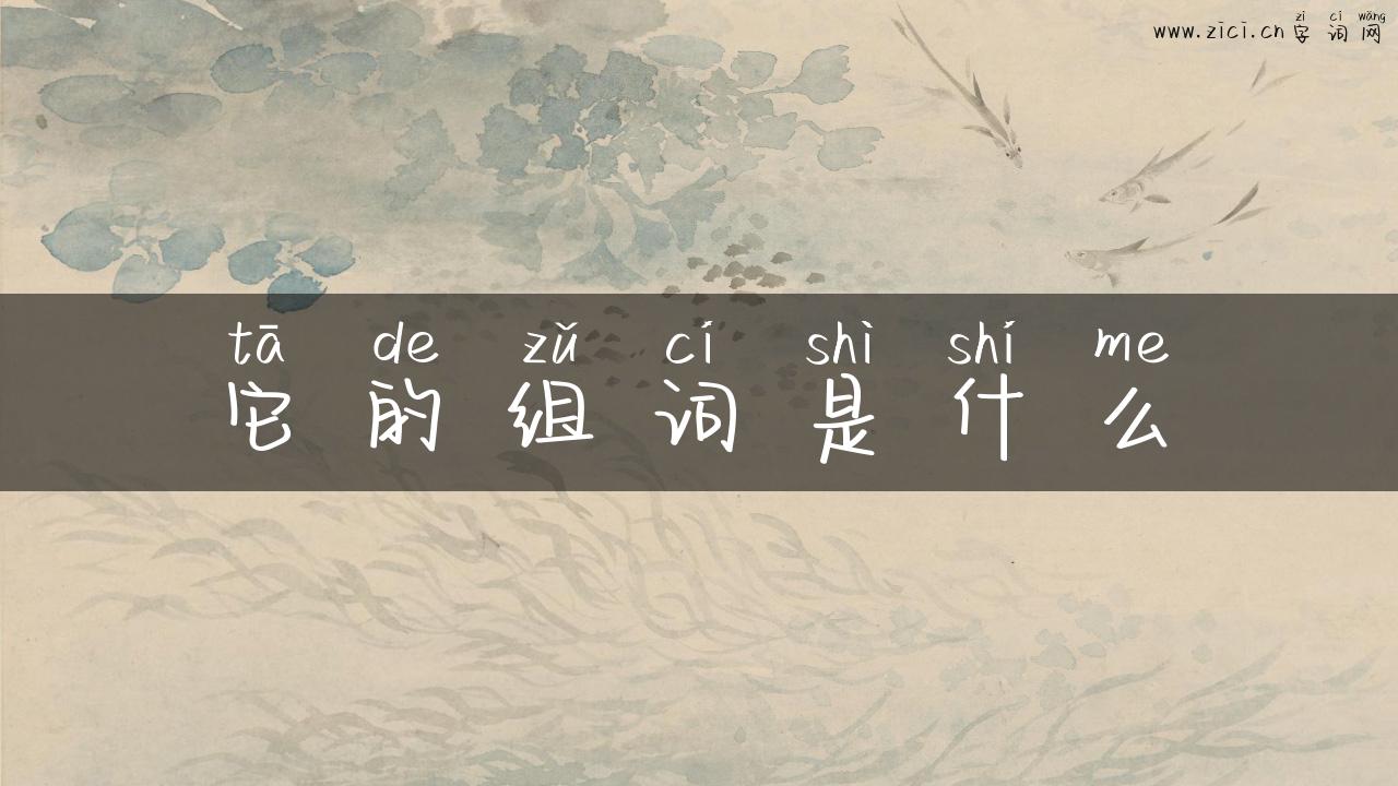 它的组词是什么