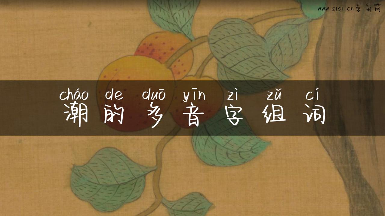 潮的多音字组词
