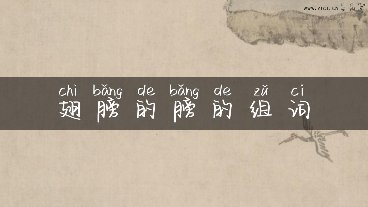 翅膀的膀的组词