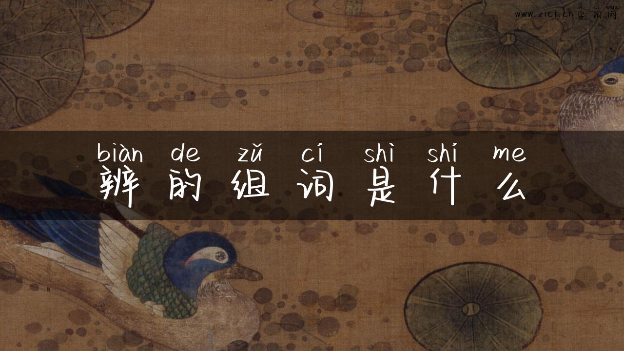 辨的组词是什么