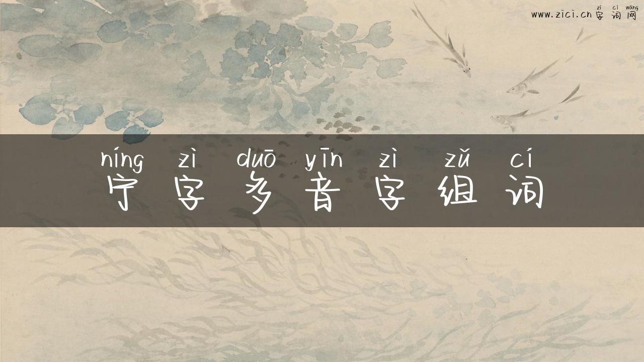 宁字多音字组词