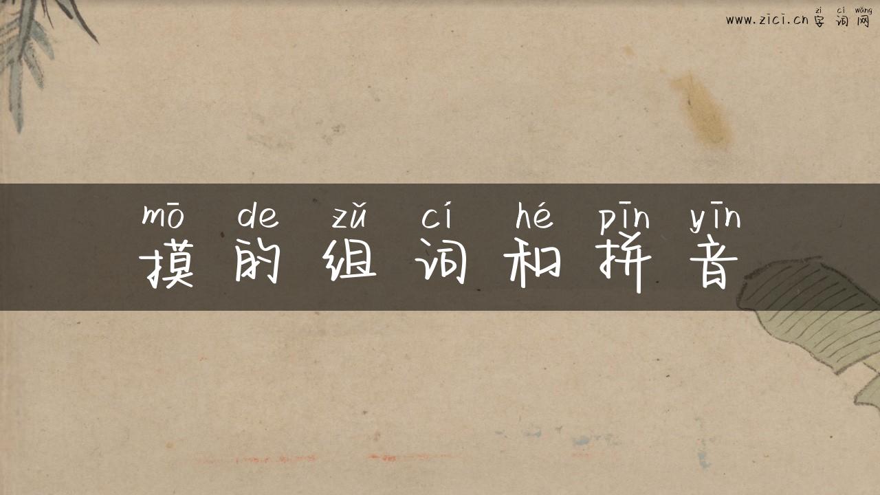 摸的组词和拼音