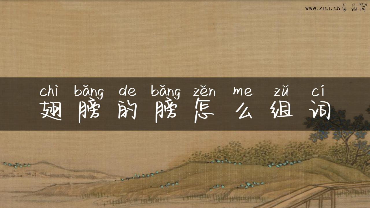 翅膀的膀怎么组词