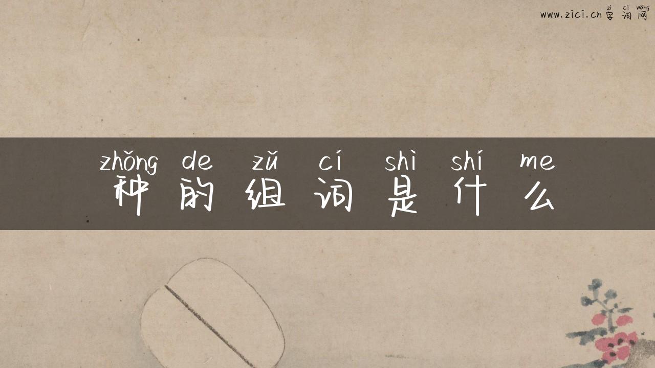 种的组词是什么