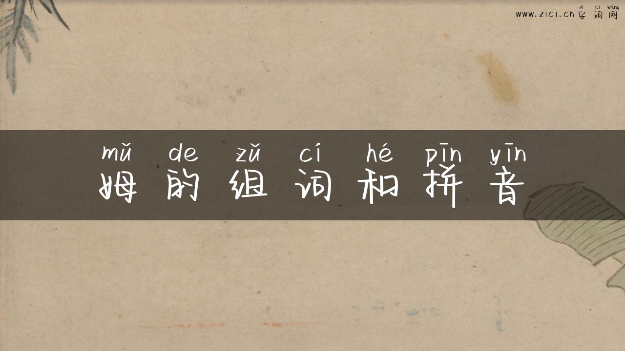 姆的组词和拼音