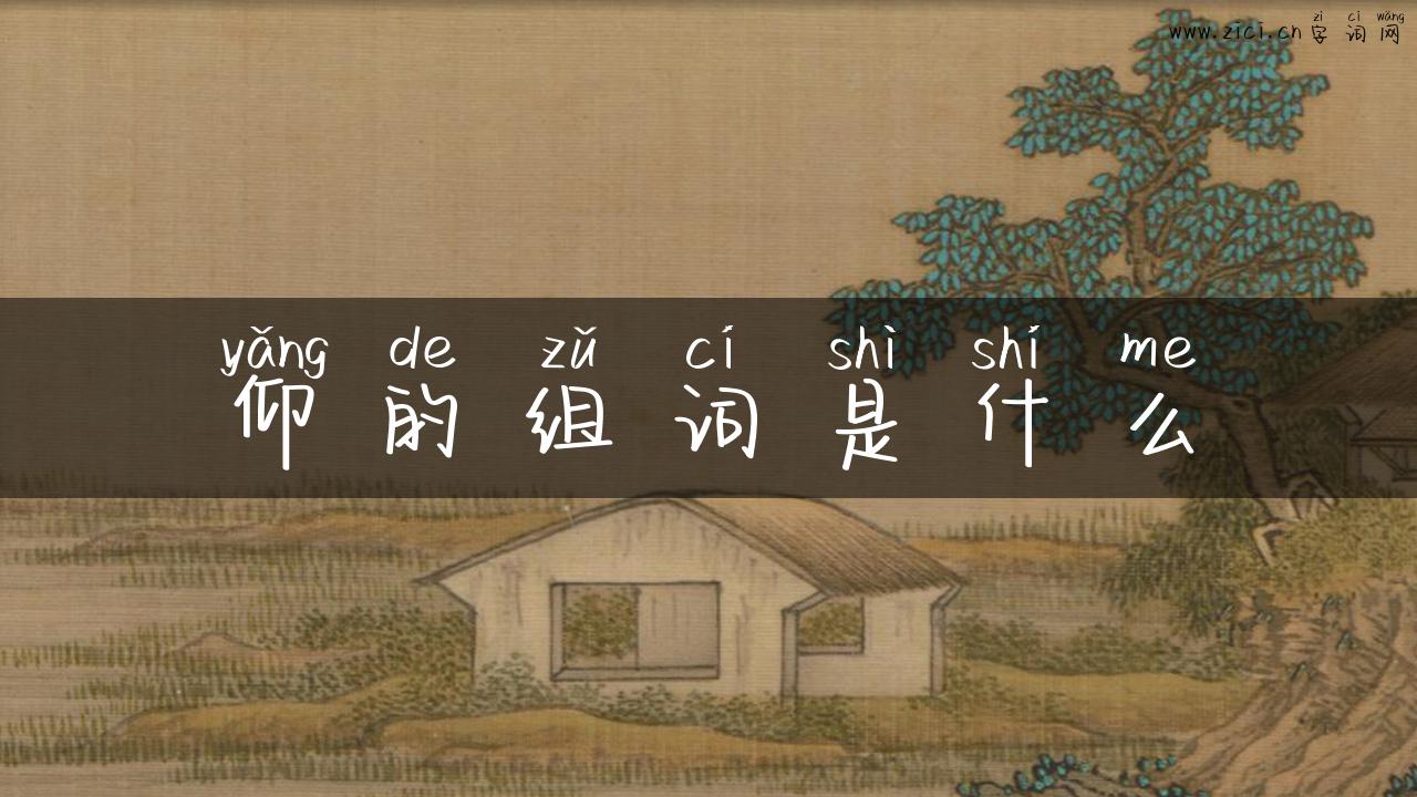 仰的组词是什么