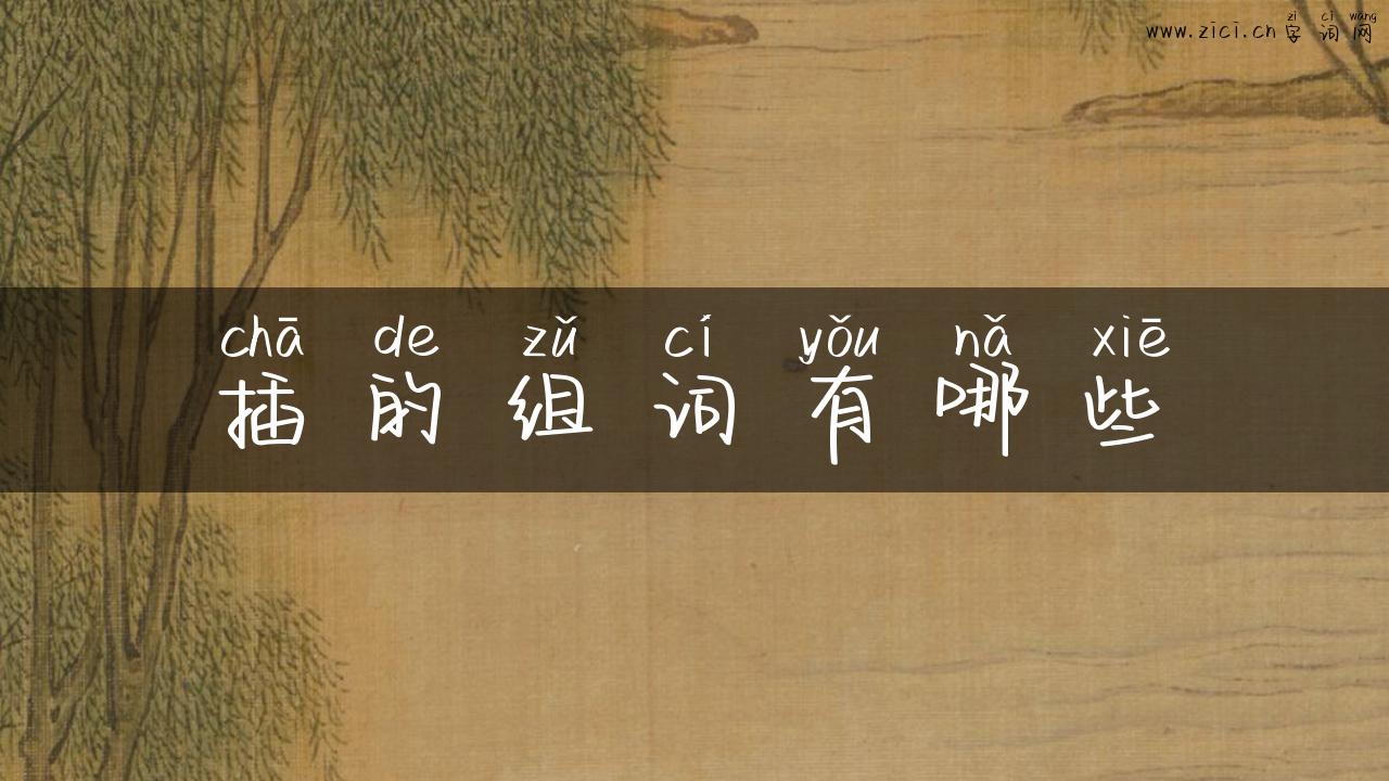 插的组词有哪些