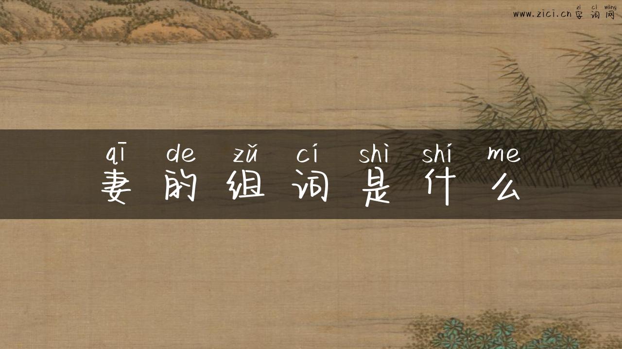 妻的组词是什么