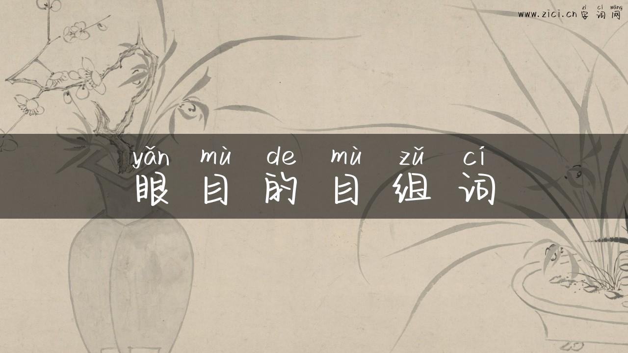 眼目的目组词