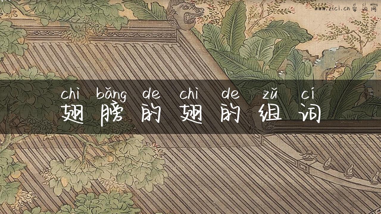 翅膀的翅的组词