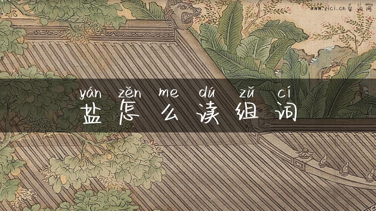 盐怎么读组词