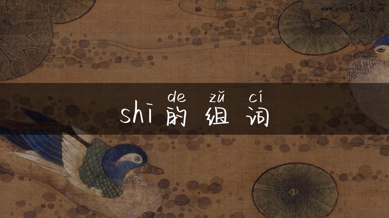 shi的组词