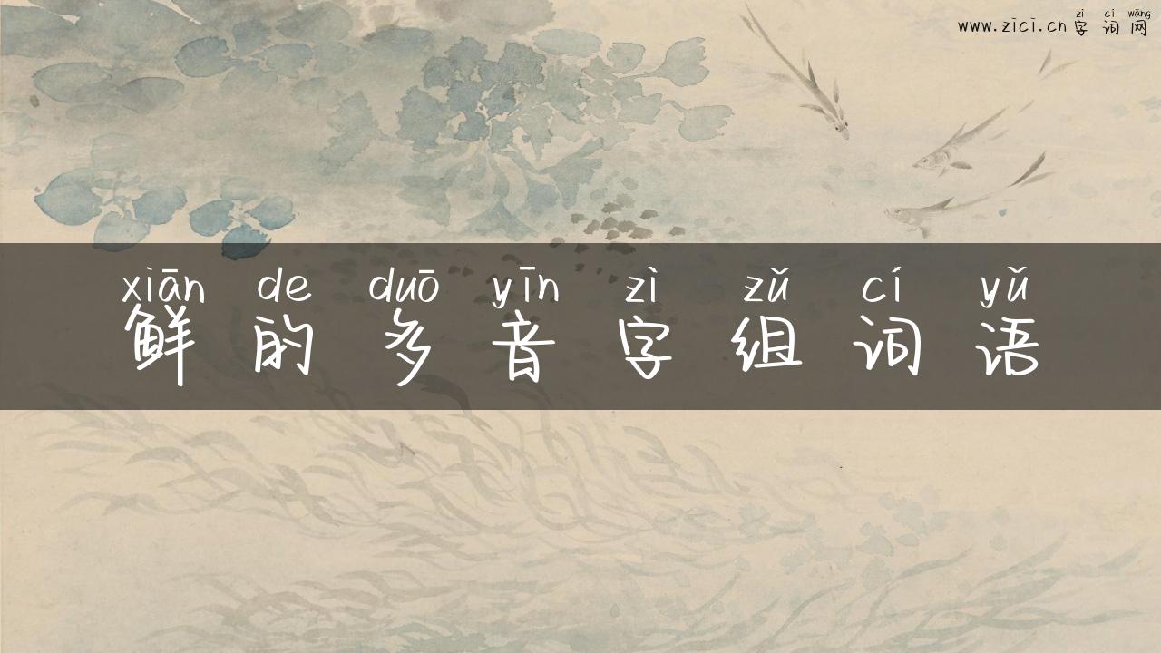 鲜的多音字组词语