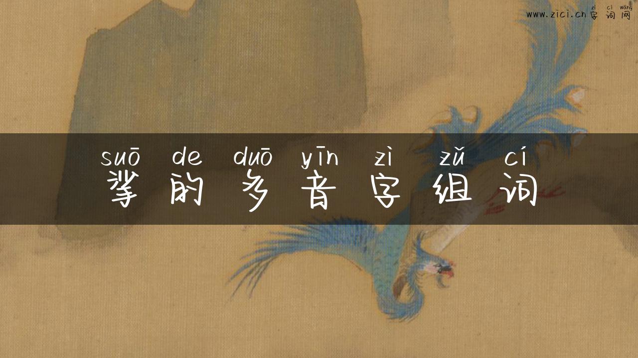 挲的多音字组词
