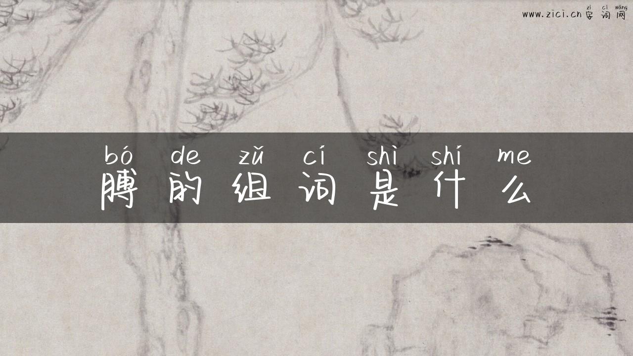 膊的组词是什么