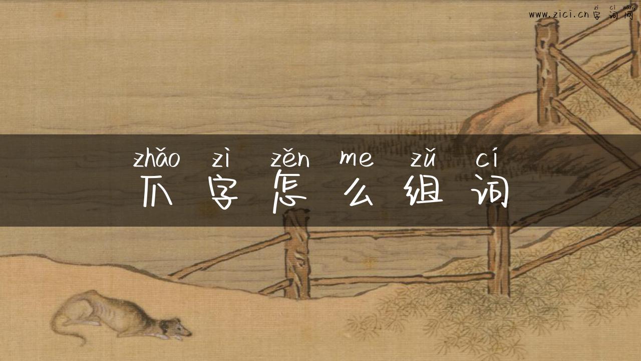 爪字怎么组词