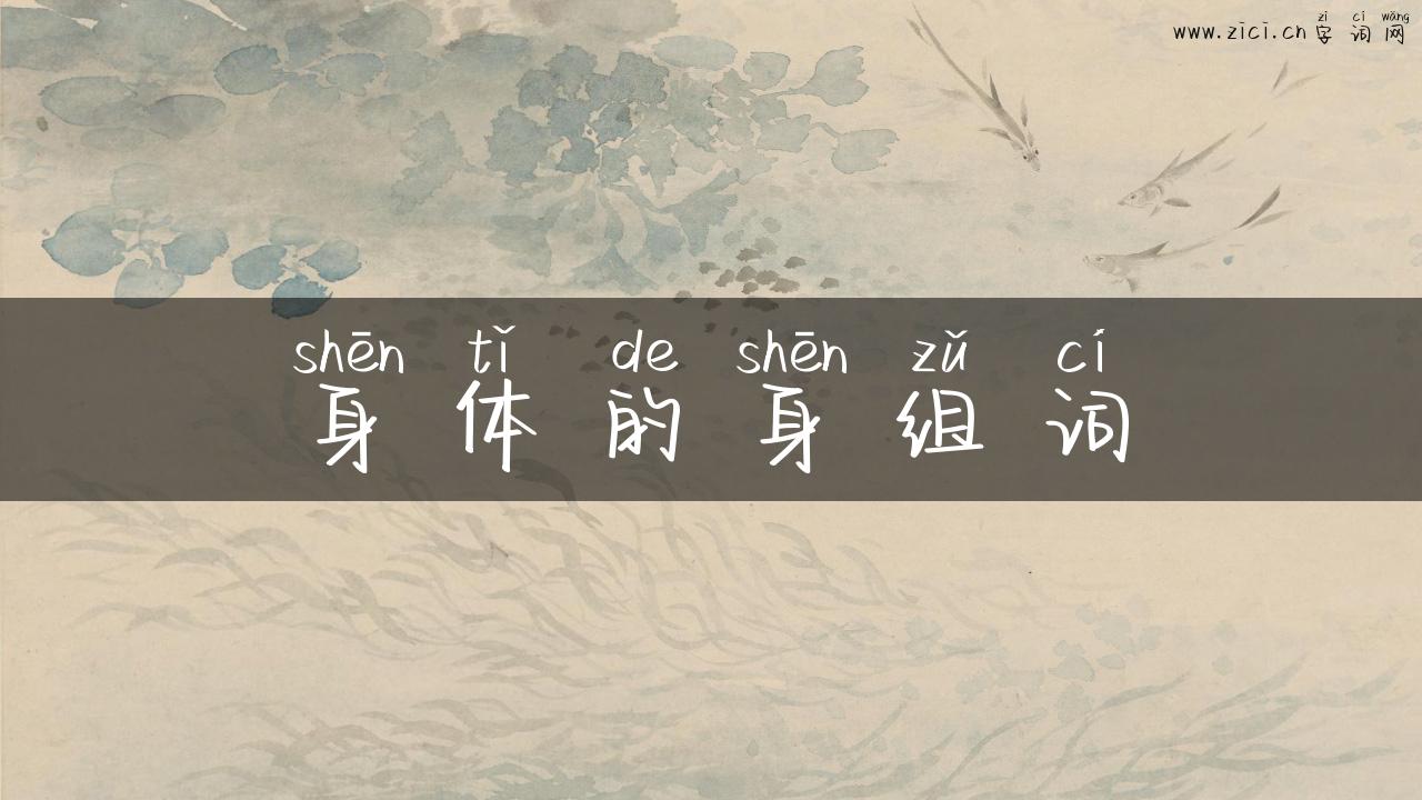 身体的身组词